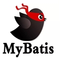 Mybatisݶ4ַʽɻ